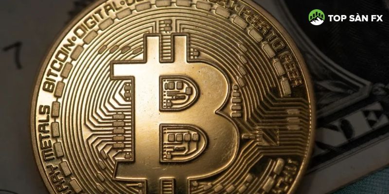 Liệu có nên bắt đắt bitcoin trong thời điểm này hay không?