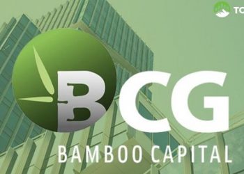 Cổ phiếu BCG - Bamboo Capital và loạt mã cùng đồng loạt tím trần