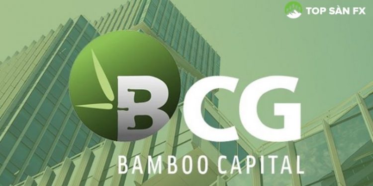 Cổ phiếu BCG - Bamboo Capital và loạt mã cùng đồng loạt tím trần