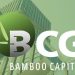 Cổ phiếu BCG - Bamboo Capital và loạt mã cùng đồng loạt tím trần
