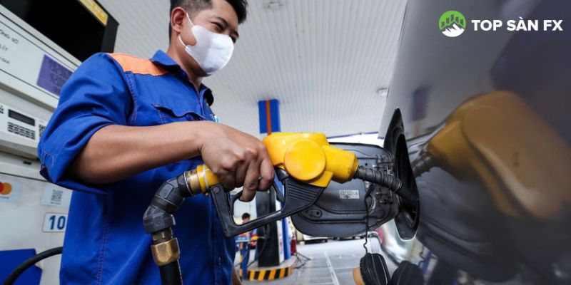 Giá xăng dầu trong nước dự kiến có thể tăng nhẹ