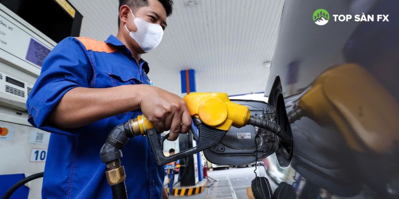 Giá xăng dầu hôm nay có sự biến động
