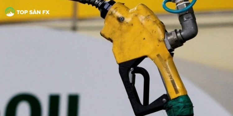 Giá xăng dầu hôm nay 30/5/2025: Đồng loạt giảm nhẹ