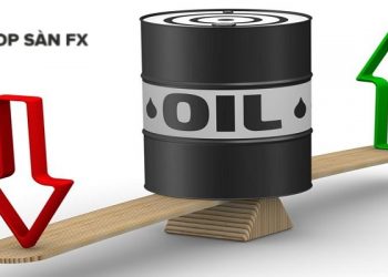 Giá xăng dầu hôm nay 11/08/2025: Tiếp tục điều chỉnh giảm