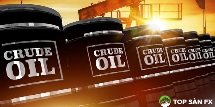 Giá xăng dầu hôm nay 29/08/2025: Đồng loạt tăng