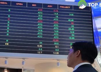 Top cổ phiếu đáng chú ý trong đầu phiên giao dịch 19/08