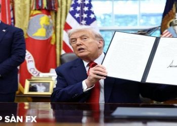 Tổng thống Trump có thể hoãn áp thuế sản phẩm bán dẫn