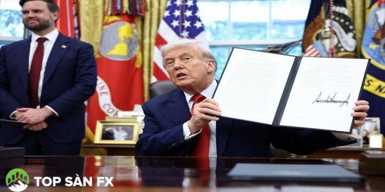 Tổng thống Trump có thể hoãn áp thuế sản phẩm bán dẫn