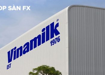 Cổ phiếu VNM (Vinamilk) âm thầm về đỉnh ngắn hạn, khối ngoại ồ ạt gom hàng