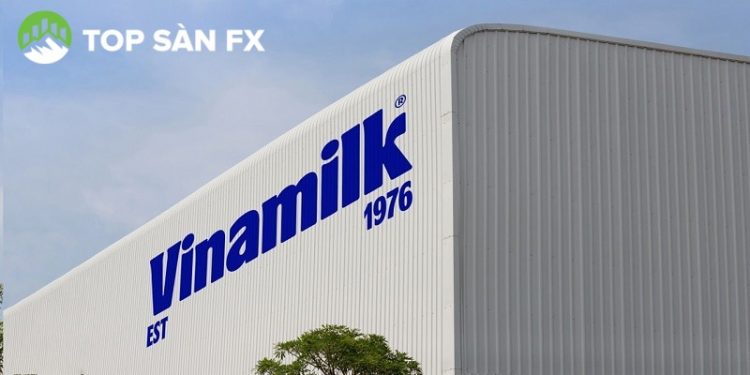 Cổ phiếu VNM (Vinamilk) âm thầm về đỉnh ngắn hạn, khối ngoại ồ ạt gom hàng