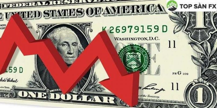 Giá USD hôm nay ngày 20/11: Tỷ giá trung tâm giảm 2 đồng