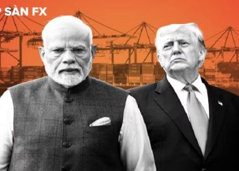 Ấn Độ giảm mua 50% dầu Nga