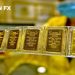 Giá vàng hôm nay 21/10: Vàng miếng SJC tăng hơn 3 triệu đồng/lượng