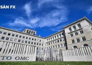 WTO nâng dự báo tăng trưởng thương mại toàn cầu 2025