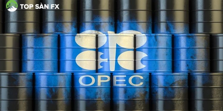 OPEC+ dừng tăng sản xuất dầu trong quý I/2026