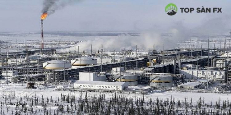 Doanh thu từ giá dầu của Nga rơi xuống mức thấp nhất 5 năm