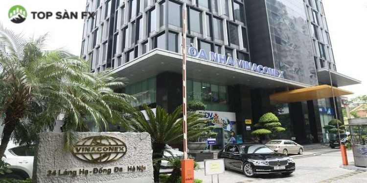 Cổ phiếu Vinaconex (VCG) “giảm sàn” giữa lúc kinh doanh khởi sắc, chuyện gì đang xảy ra?