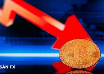 Bitcoin mất gần ½ giá trị trong ba tháng giữa cơn khủng hoảng tiền điện tử