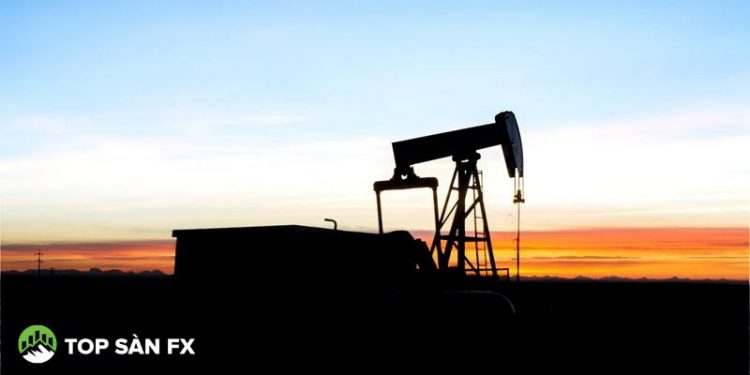 Giá dầu giảm sau khi ông Trump nói Iran cho phép 10 tàu chở dầu đi qua eo biển Hormuz như một “món quà”