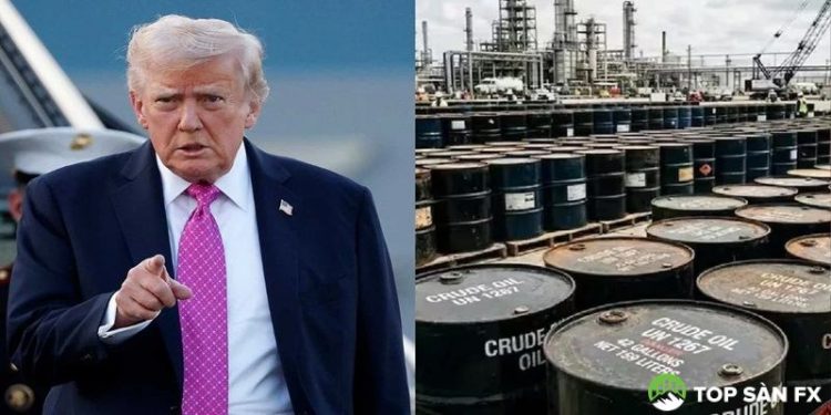 Mỹ sẽ "xả kho" 172 triệu thùng dầu từ kho dự trữ chiến lược, bắt đầu từ tuần tới