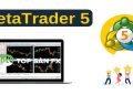 Backtest trên MT5 là gì? Hướng dẫn chi tiết từ A-Z cho trader Forex