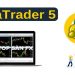 Backtest trên MT5 là gì? Hướng dẫn chi tiết từ A-Z cho trader Forex