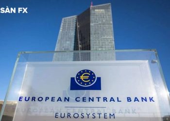 ECB đang cân nhắc về việc tăng hay giữ nguyên lãi suất tại kỳ họp sắp tới