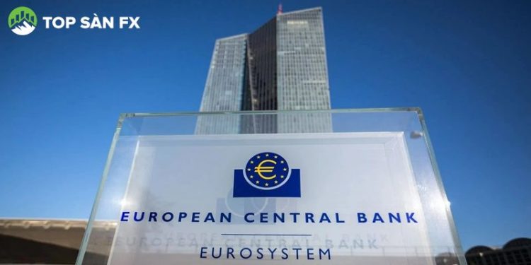 ECB đang cân nhắc về việc tăng hay giữ nguyên lãi suất tại kỳ họp sắp tới