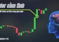 Trader cảm tính: Hiểu rõ để tránh sai lầm trong giao dịch
